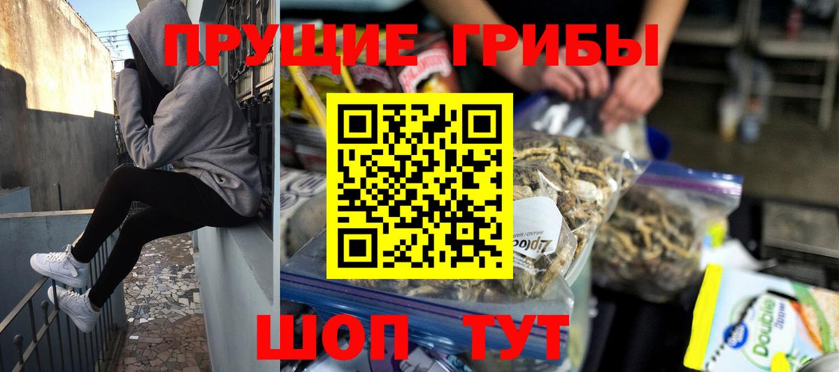 продажа наркотиков  Вход с VPN  Ртищево  Галлюциногенные грибы прущие грибы 
